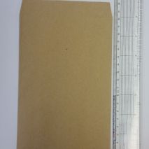 Brown Paper Envelope 120 x 200mm (Item ID:brw120)