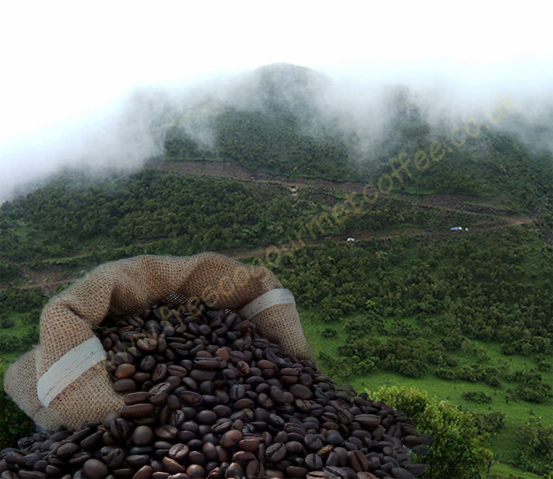 Ethiopian Sidamo