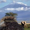 Kenyan Peaberry (Item ID:11251)