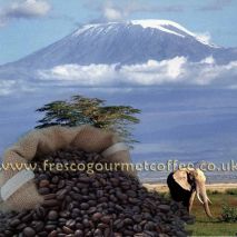 Kenyan Peaberry (Item ID:11251)