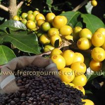 Yellow Bourbon (Item ID:11256)