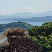 Mexico Terruno Nayarita Reserva (Item ID:476392)