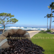 Hawaii Kona (Item ID:874525)